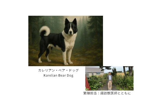 ボランティアについて